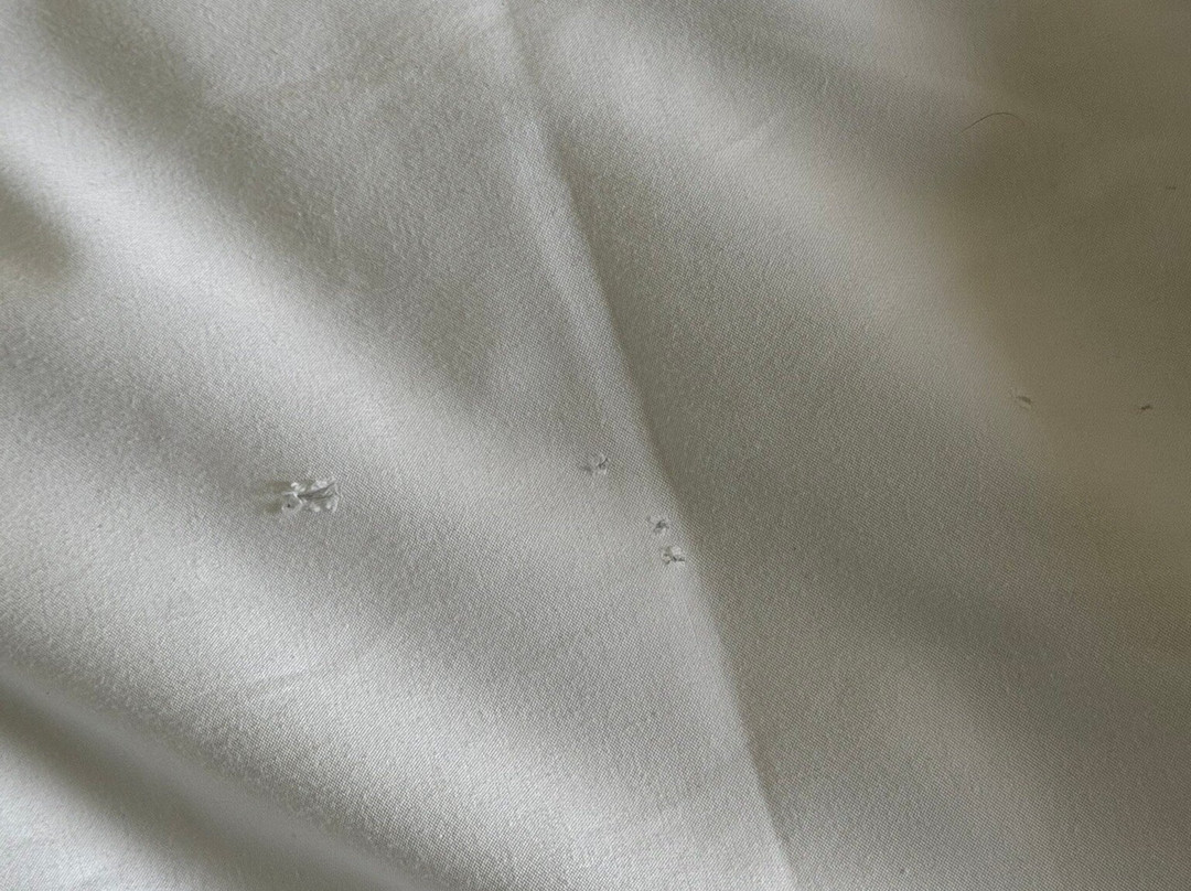 马莱谢餐厅酒店主图