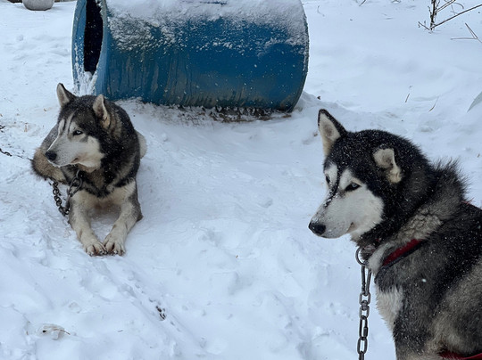 Aventures Daaquam 4 Saisons-Saint-Just-de-Bretenieres必去景点