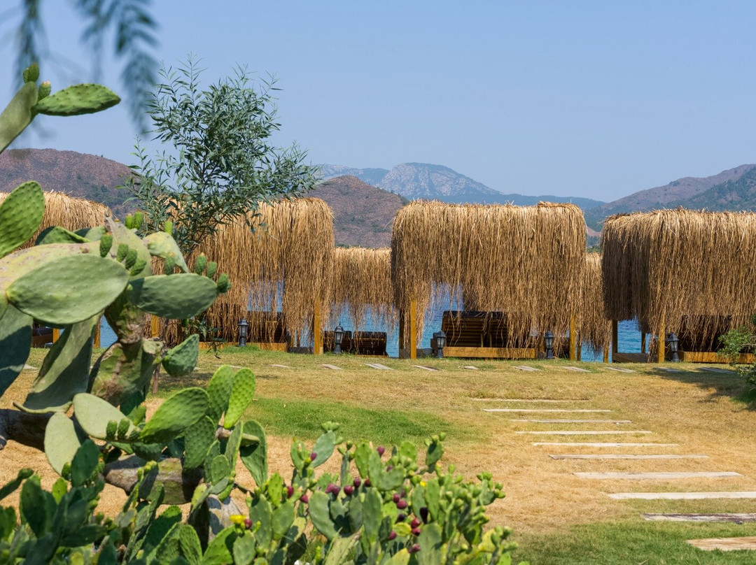 Kon Tiki Beach Club & Surf