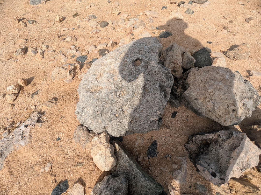 Fofoti Tours & Transfers-奥腊涅斯塔德必去景点