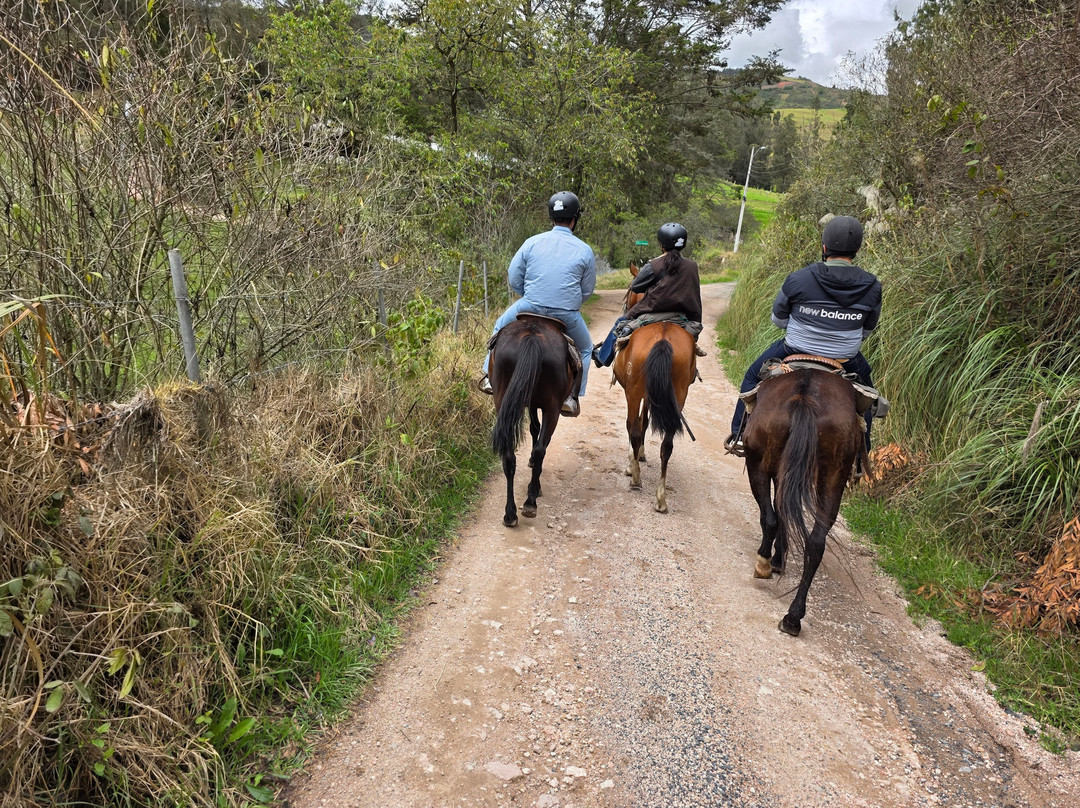 Centro Ecuestre Bellavista-昆卡必去景点