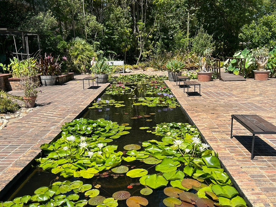 Stellenbosch University Botanical Garden-斯泰伦博斯必去景点