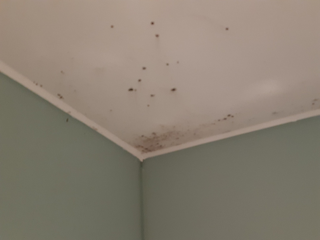 米尔顿凯因斯中心旅客之家酒店主图