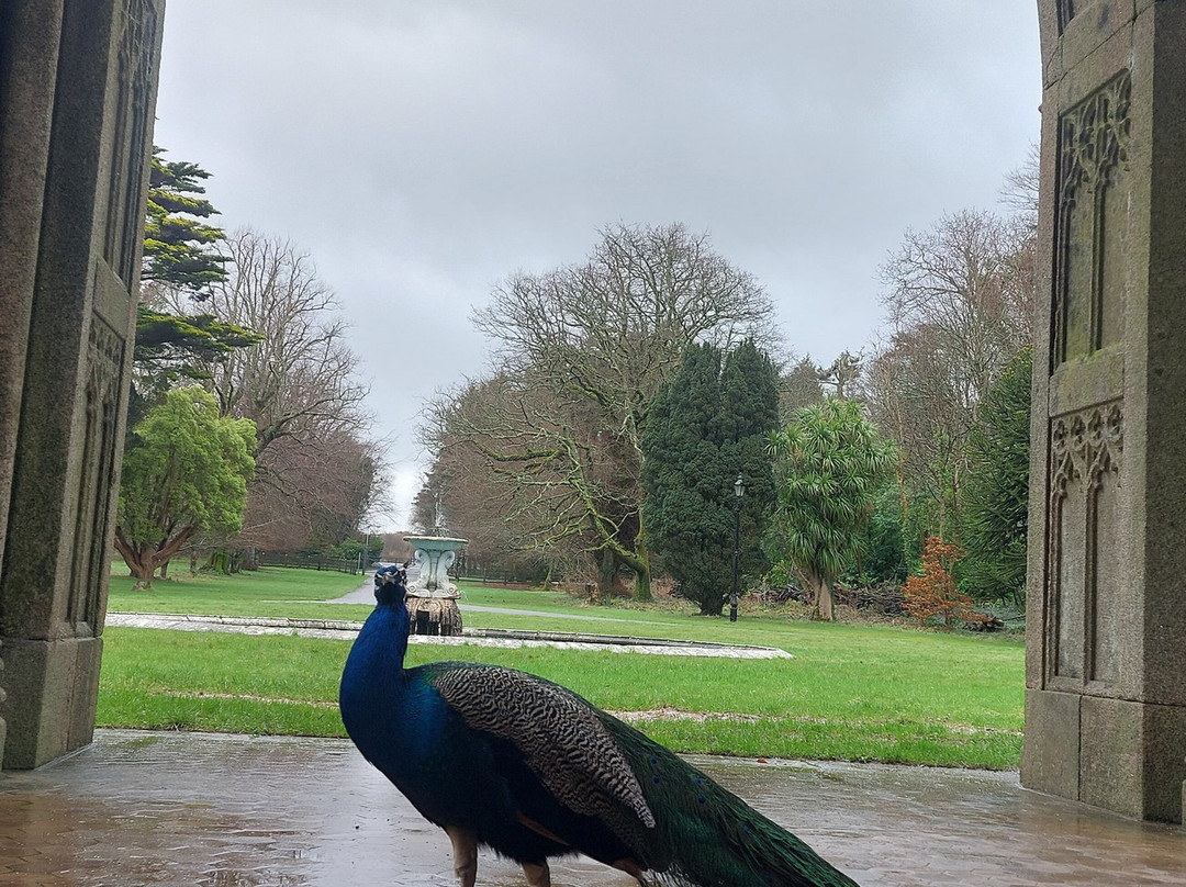 Johnstown Castle-County Wexford必去景点
