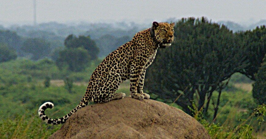 Uganda Family Tours & Travel-Fort Portal必去景点