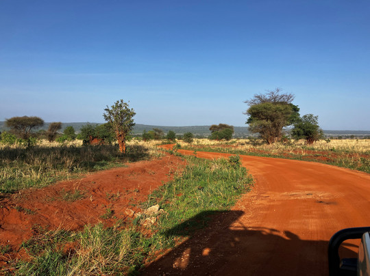 Leopard Tours Limited-阿鲁沙必去景点
