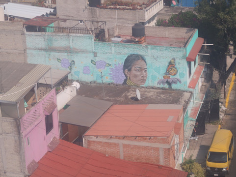 Kactus-墨西哥城必去景点