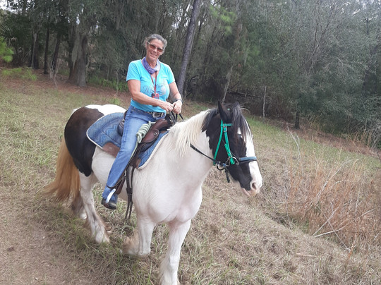 C Ponies Beach Horseback Rides-布雷登顿必去景点