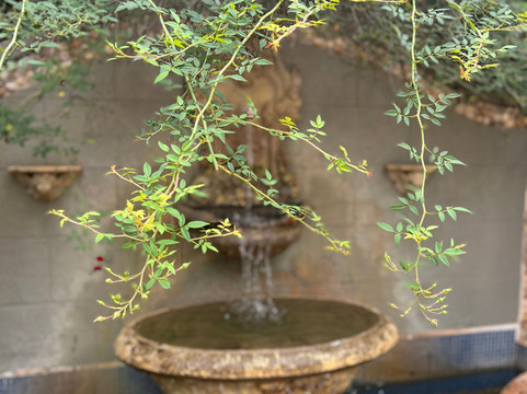 Pousada Estalagem de Brotas主图