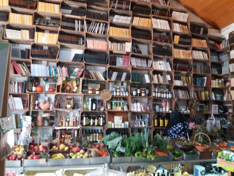 Rua Direita-奥比都斯必去景点