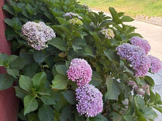 Vina Aquitania-圣地亚哥必去景点