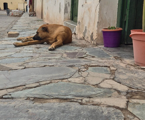Cachi-卡奇必去景点