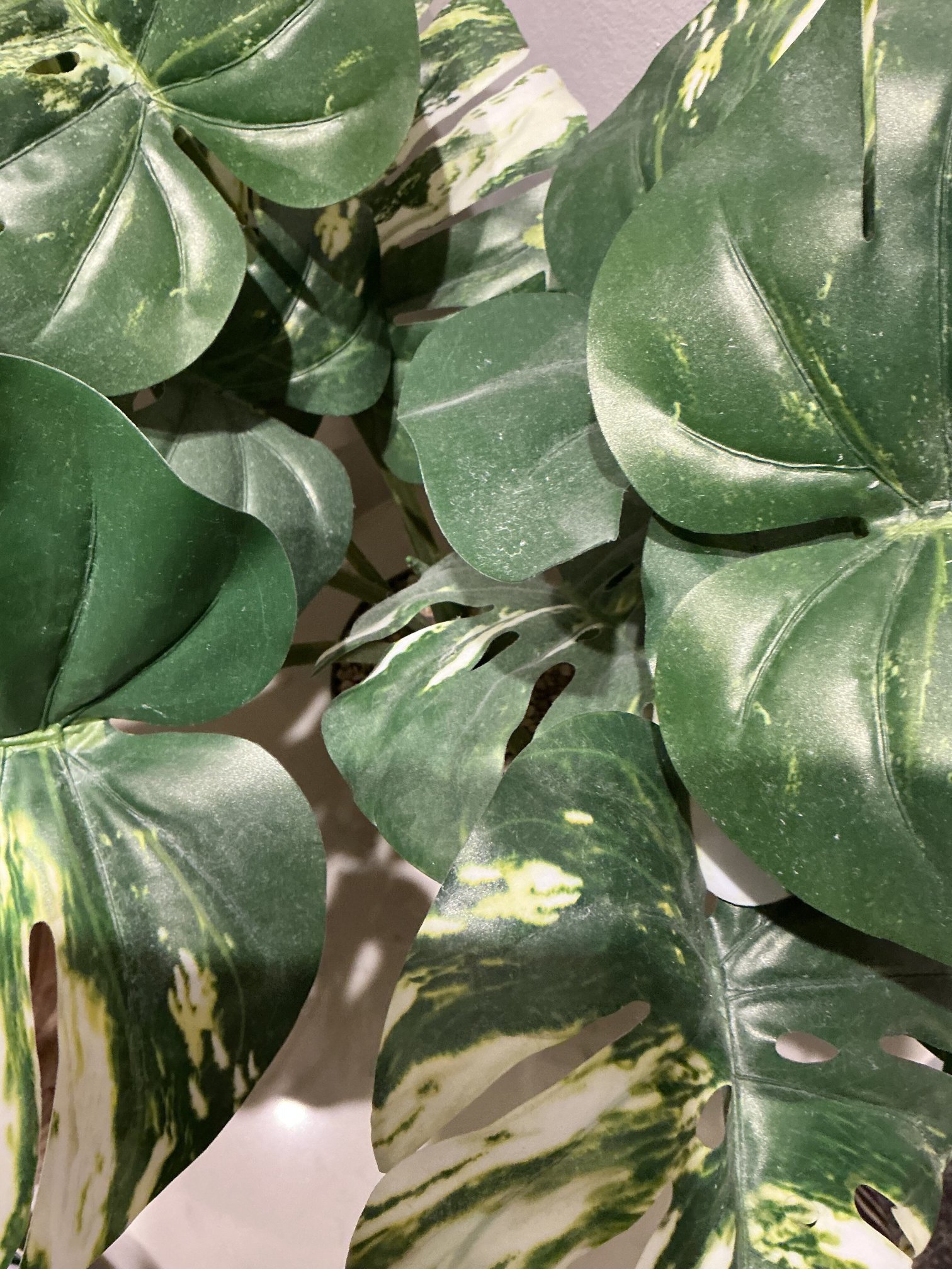 Caledonian Hotel-客卧