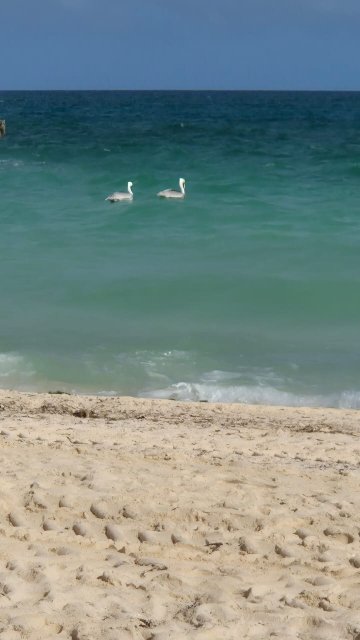 Sol Cayo Coco-泳池