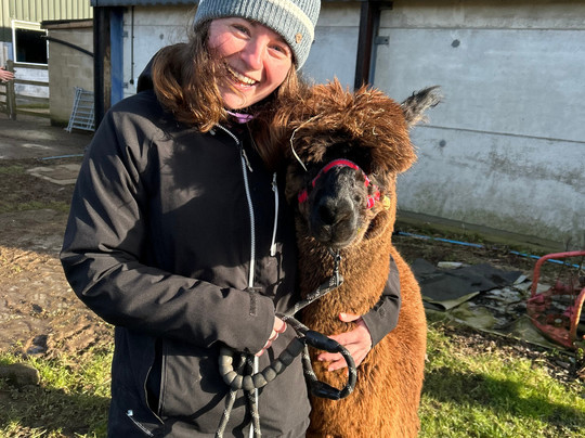 Charnwood Forest Alpacas-Boundary必去景点