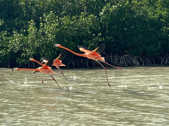 Parque Natural Ria Lagartos-里奥拉加托斯必去景点