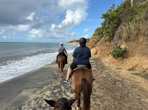 Esperanza Riding Company-维切克岛必去景点