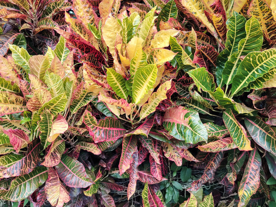 Discover Vinales-维纳勒斯必去景点