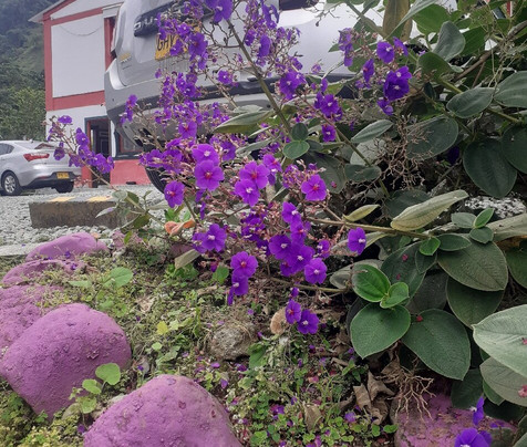 Cafe San Alberto-布埃纳维斯塔必去景点