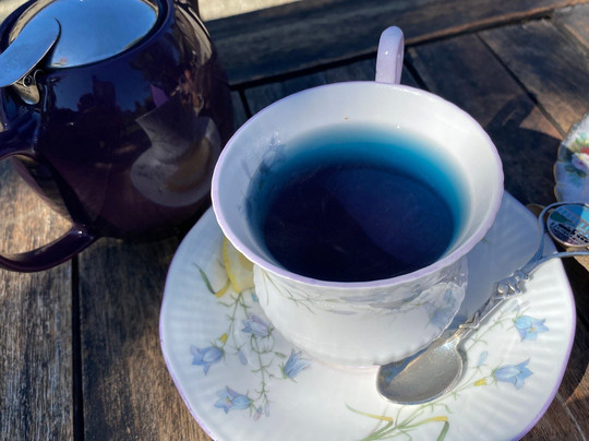 瓦纳卡薰衣草农场-瓦纳卡必去景点