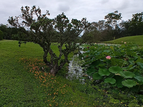Noosa Valley Golf Club-努沙必去景点