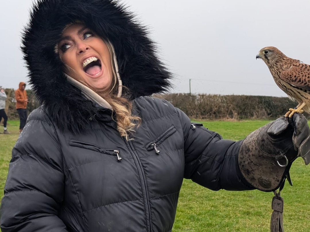 The British Bird of Prey Centre-喀麦登必去景点