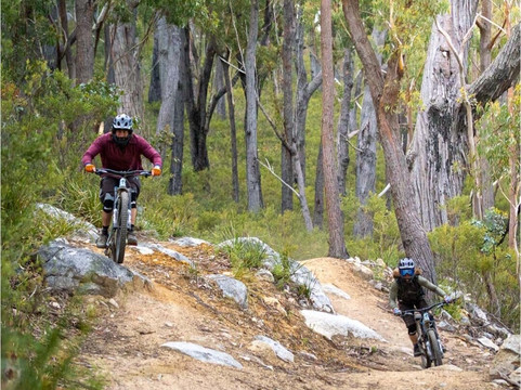 Premium MTB Tours (bark off biking)-Derby必去景点