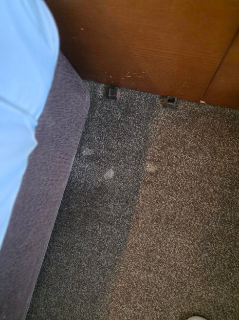 新宿格兰贝尔酒店-官方