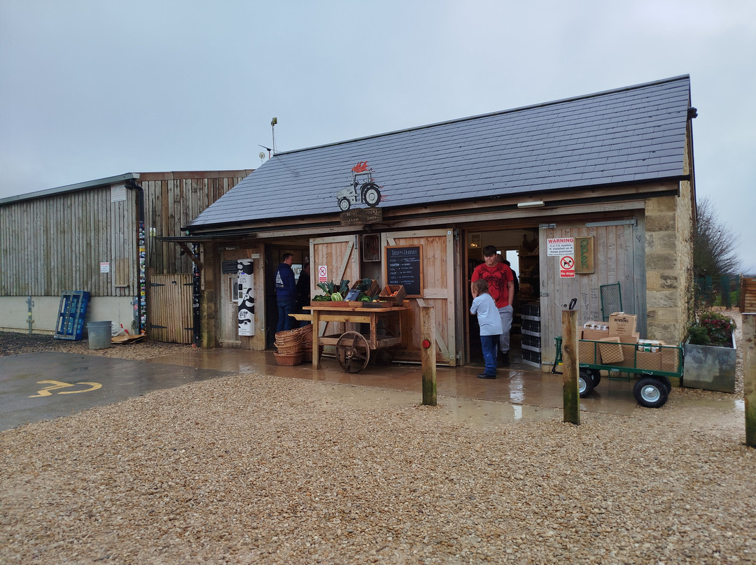 Diddly Squat Farm Shop-奇平诺顿必去景点