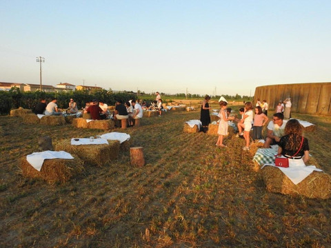 Az. Agricola E Agriturismo Cà Bianca