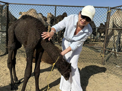 Al Fawaz Tours-塞拉莱必去景点