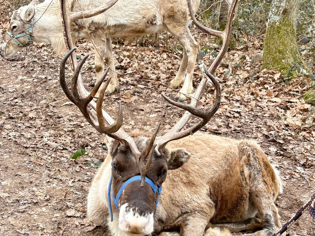 Rentieralm-Niederhausen必去景点