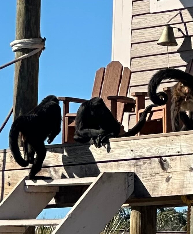 Monkey Island Riverside Resort主图