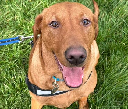 199 Steps-惠特比必去景点