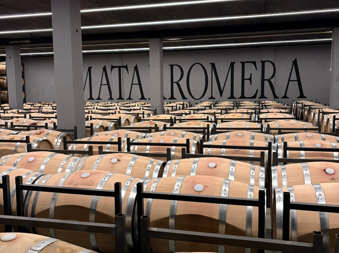 Bodega Matarromera-Valbuena de Duero必去景点