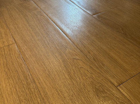 Ocean Coral Spring主图