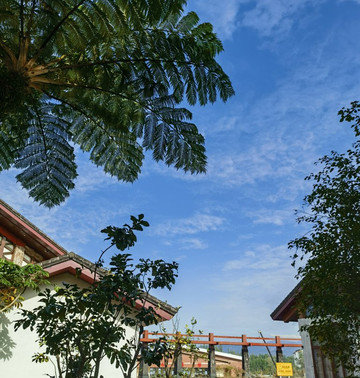 海南兴隆希尔顿逸林滨湖度假酒店主图