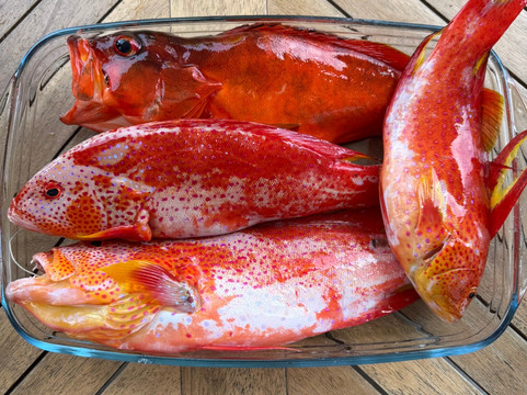 One Drop Excursions-格兰高伯必去景点