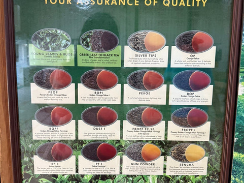 Apple Vacations Sri Lanka-Wattala必去景点