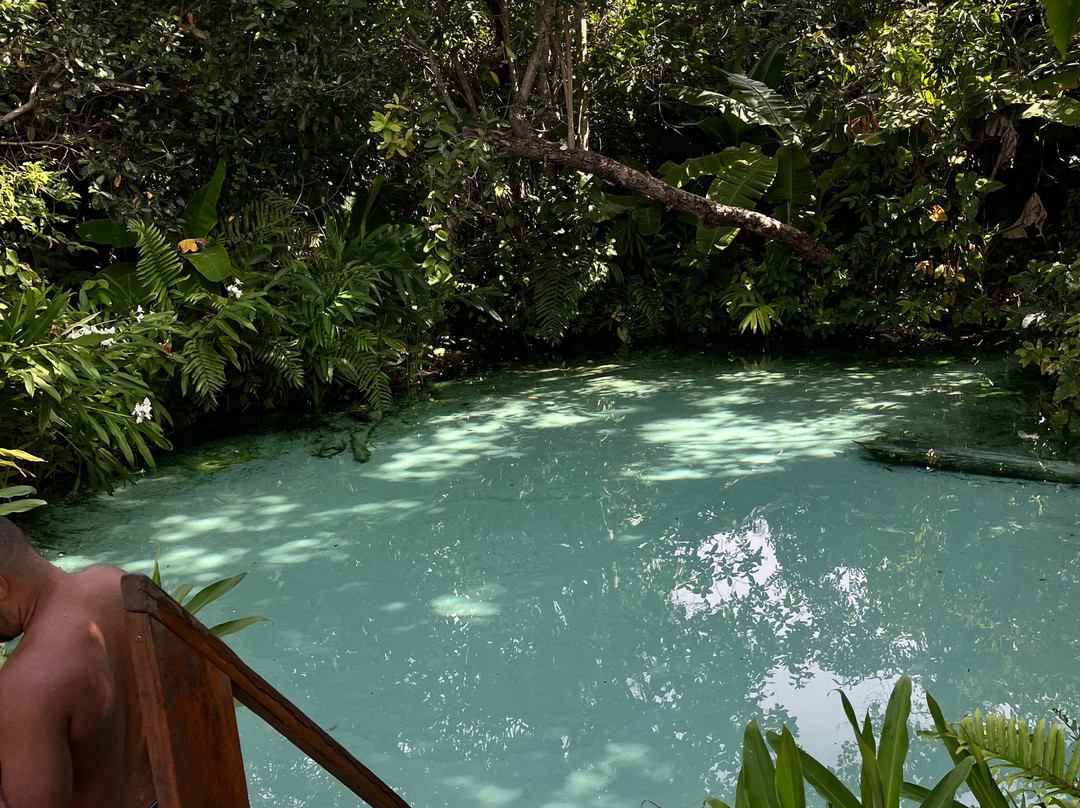 NATIVOS JALAPÃO-Palmas必去景点