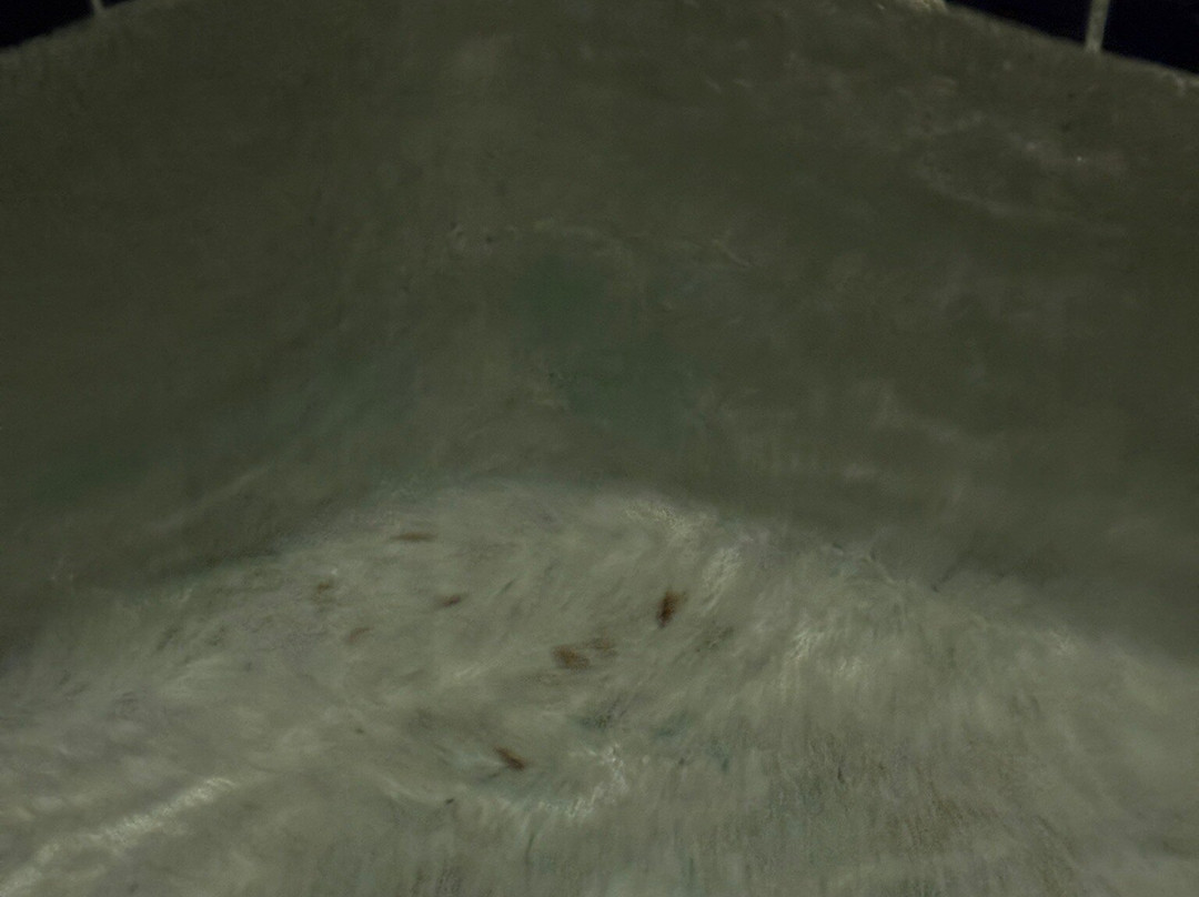 伊根明尼苏达戴斯酒店-近美国购物中心主图