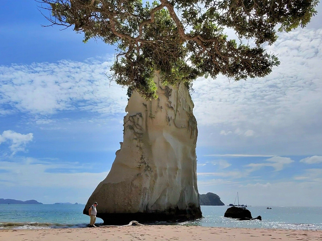 Cheeky Kiwi Travel-奥克兰中心地区必去景点