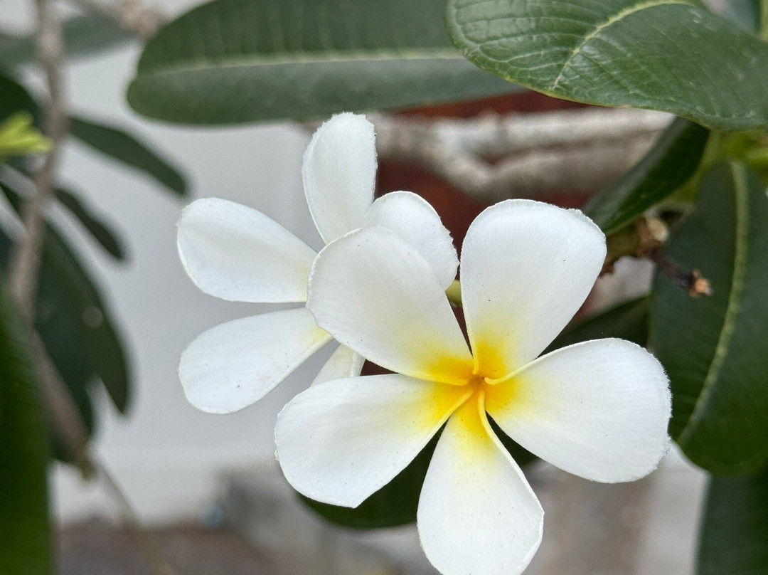 双湾度假村主图