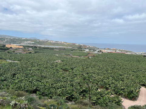 La Rekompensa Mundo del Plátano-Arucas必去景点