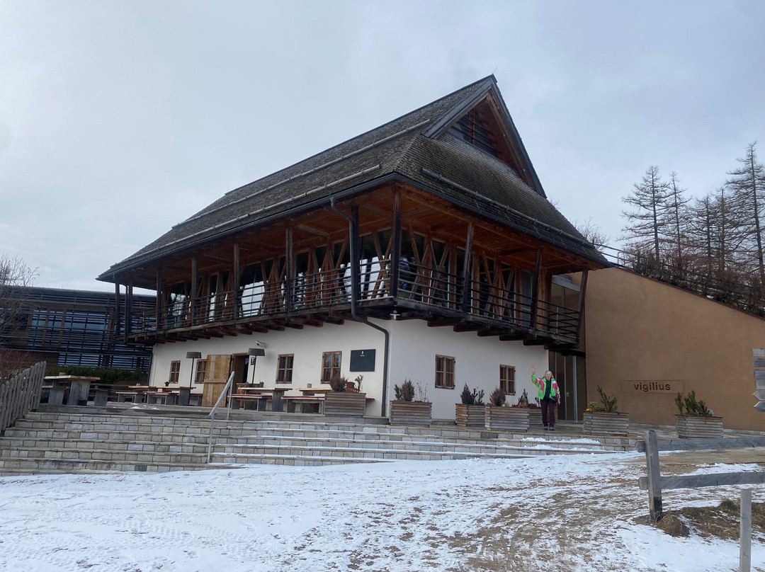 Vigilius Mountain Resort主图