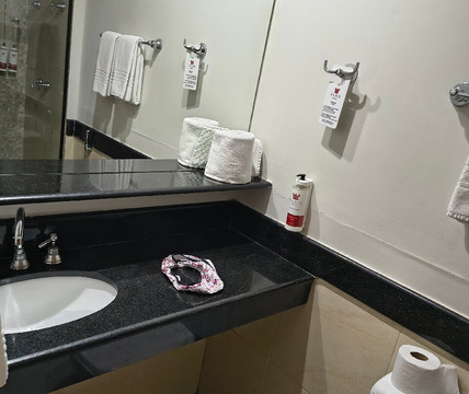 法鲁陶巴特酒店主图