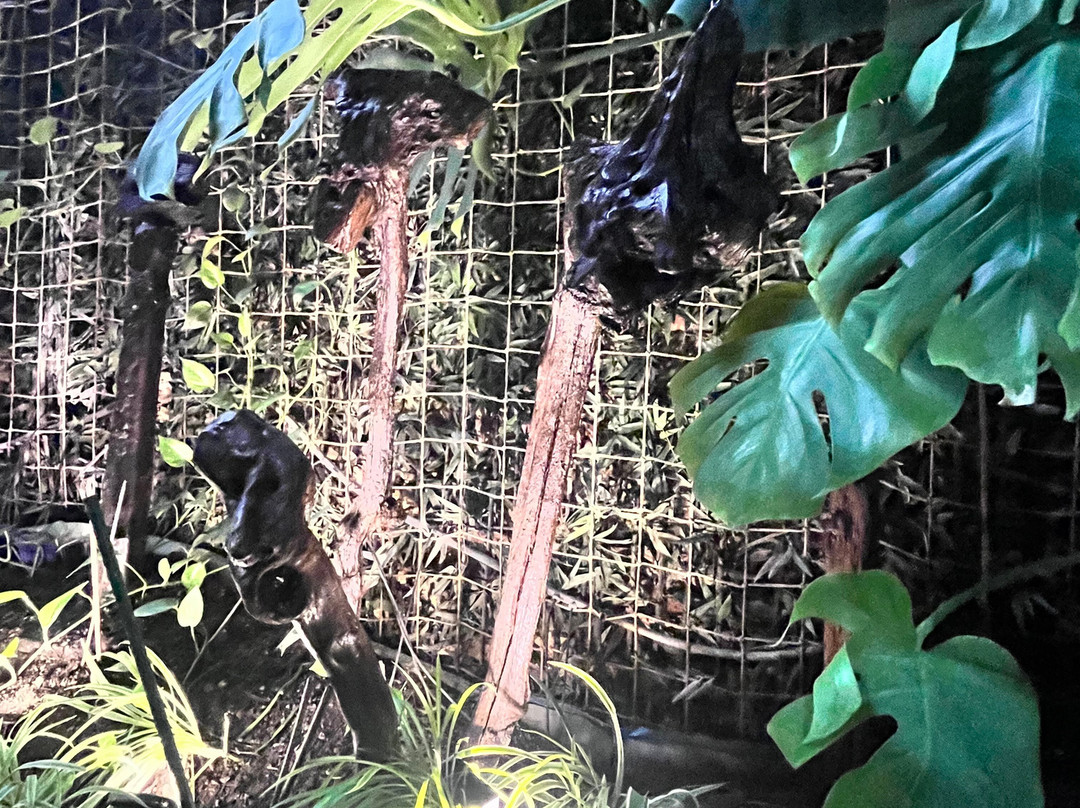 Maison PARRA-Marmande必去景点