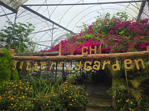 Discover Camerons-丹那拉塔必去景点