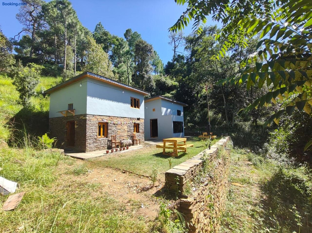 Astitva Binsar