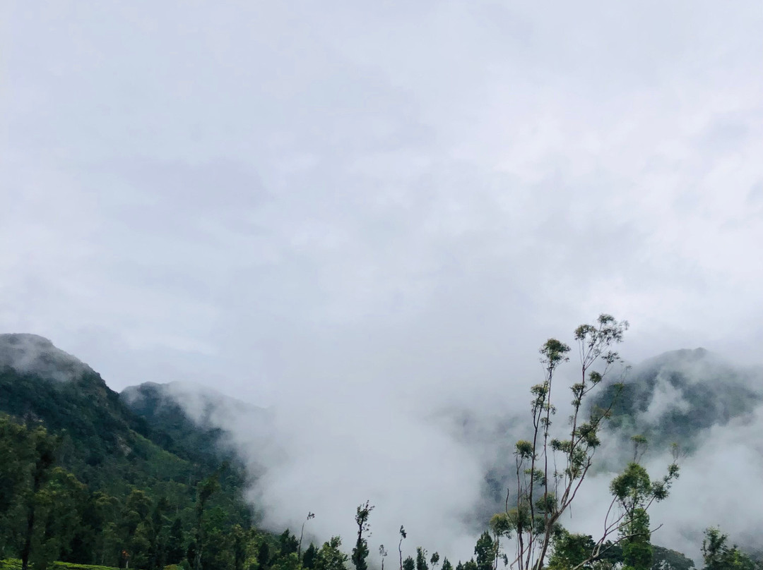 Mandaram Nuwara-Mandaramnuwara必去景点